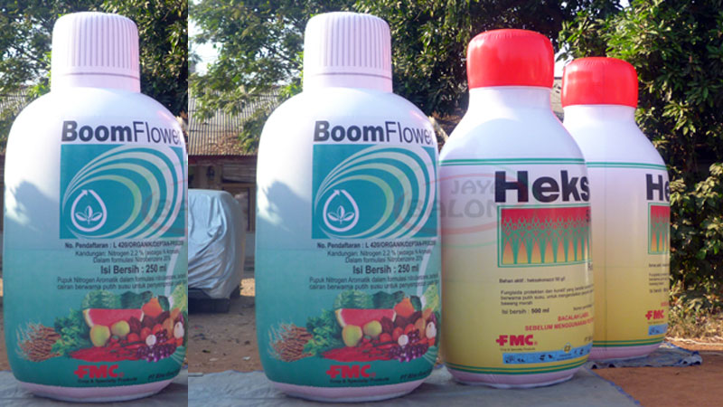 Pusat Pabrik Balon Ikan Terbaik dan Terlengkap Laksana Balon Di Jakarta Selatan